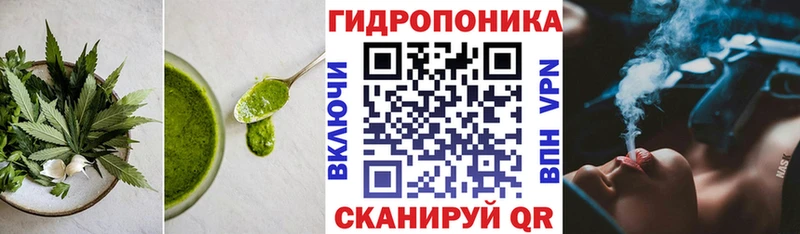 где купить наркоту  Качканар  Canna-Cookies марихуана 