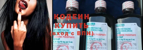 прущие грибы Рославль