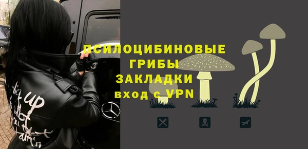 индика Алзамай