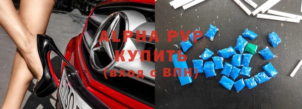 прущие грибы Рославль