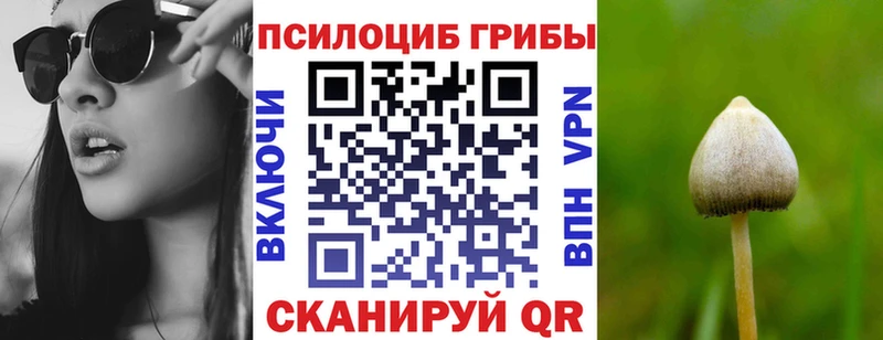 Псилоцибиновые грибы Cubensis  где купить наркоту  Качканар 